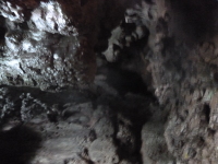 P1050166.jpg