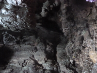 P1050167.jpg