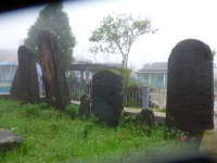 P1050174.jpg