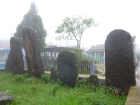P1050175.jpg