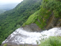 P1050186.jpg
