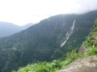 P1050190.jpg