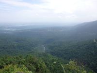 P1050191.jpg