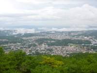 P1050193.jpg
