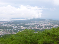 P1050194.jpg