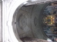 P1050251.jpg