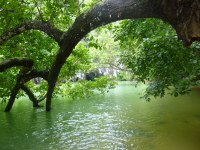 P1050265.jpg