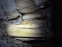 P1050281.jpg