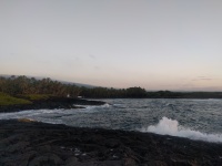 IMG_20170129_070138.jpg