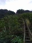 IMG_20170202_081523.jpg