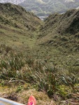 IMG_20170202_090946.jpg
