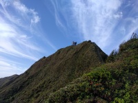 IMG_20170202_091117.jpg