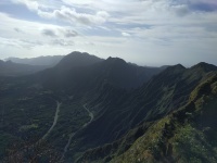 IMG_20170202_094304.jpg