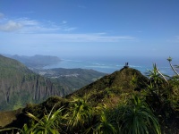IMG_20170202_095334.jpg
