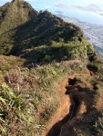 IMG_20170202_095439.jpg