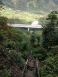 IMG_20170202_103346.jpg