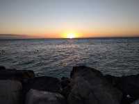 IMG_20170109_175528.jpg